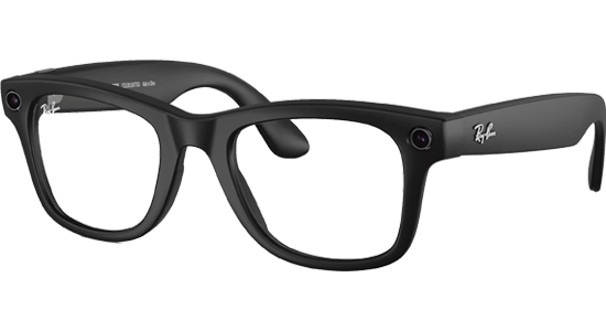 Meta Wayfarer